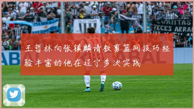 王哲林向张镇麟请教剪篮网技巧经验丰富的他在辽宁多次实践