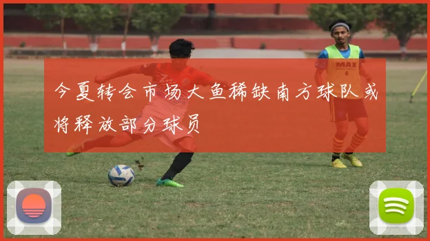 今夏转会市场大鱼稀缺南方球队或将释放部分球员