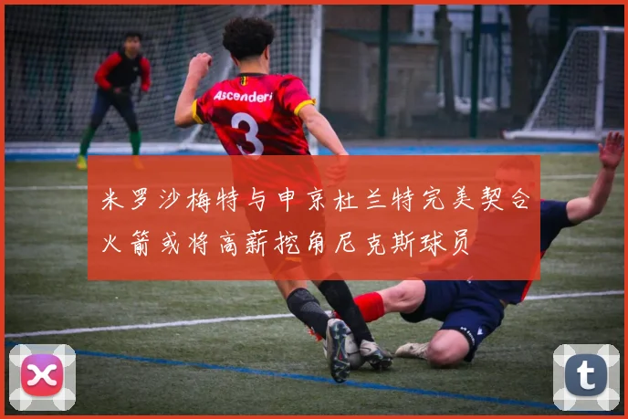 米罗沙梅特与申京杜兰特完美契合火箭或将高薪挖角尼克斯球员