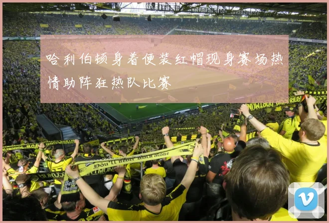 哈利伯顿身着便装红帽现身赛场热情助阵狂热队比赛